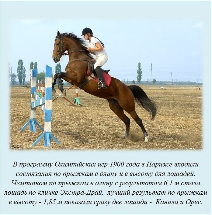 Интересные факты в картинках