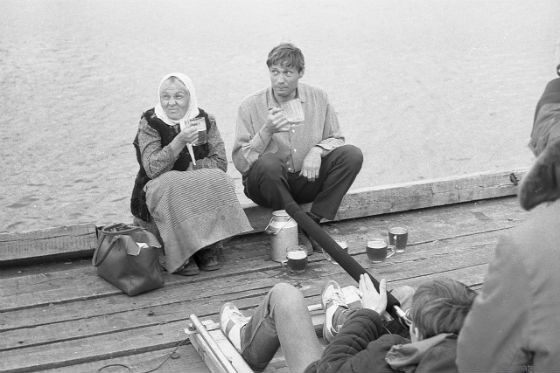 9 фактов о фильме «Любовь и голуби» 9 фактов о фильме «Любовь и голуби»