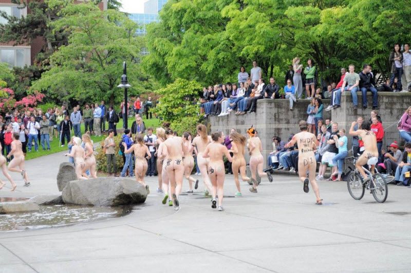 Голые студенческие развлечения (18+) 