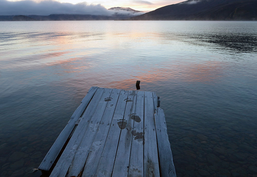 Медведи на Камчатке. Часть 2 Медведи на Камчатке. Часть 2