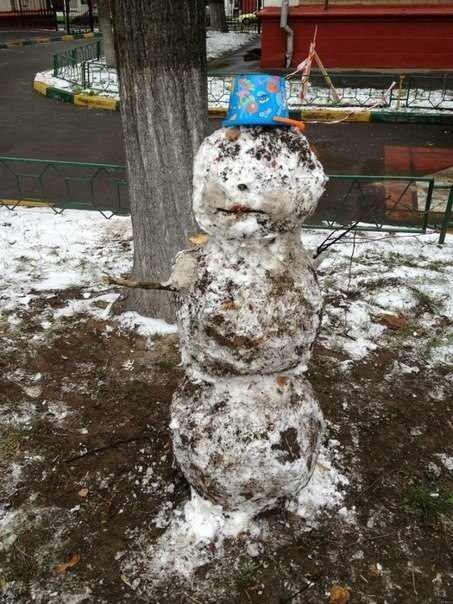 Прикольные картинки