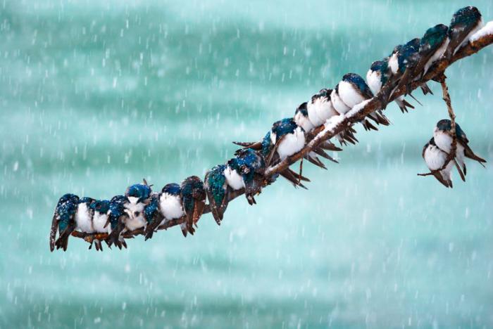 Прикольные картинки