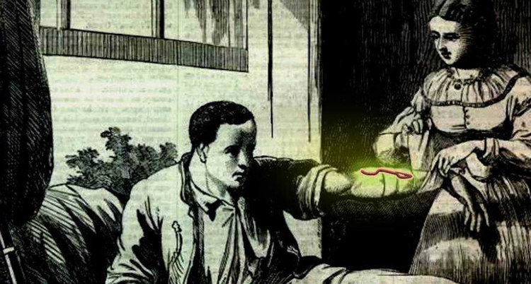 Ядовитые цветочки, женщина-биооружие и ангельское сияние бактерий или несколько забавных случаев, когда природа отвесила звонкую пощечину мистике Ядовитые цветочки, женщина-биооружие и ангельское сияние бактерий или несколько забавных случаев, когда природа отвесила звонкую пощечину мистике