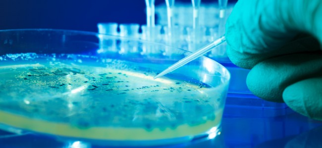 Ядовитые цветочки, женщина-биооружие и ангельское сияние бактерий или несколько забавных случаев, когда природа отвесила звонкую пощечину мистике Ядовитые цветочки, женщина-биооружие и ангельское сияние бактерий или несколько забавных случаев, когда природа отвесила звонкую пощечину мистике