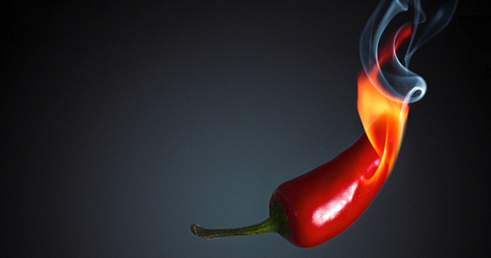 «А сколько ты получаешь за свои грязные делишки?» Знаменитые порноактеры рассказывают о том, сколько они зарабатывают