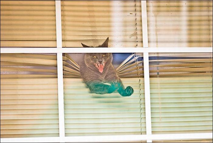 Кучка воскресных картинок