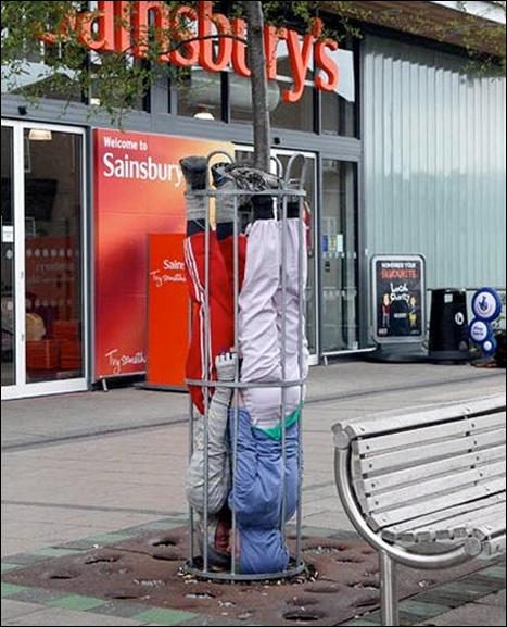 Кучка воскресных картинок