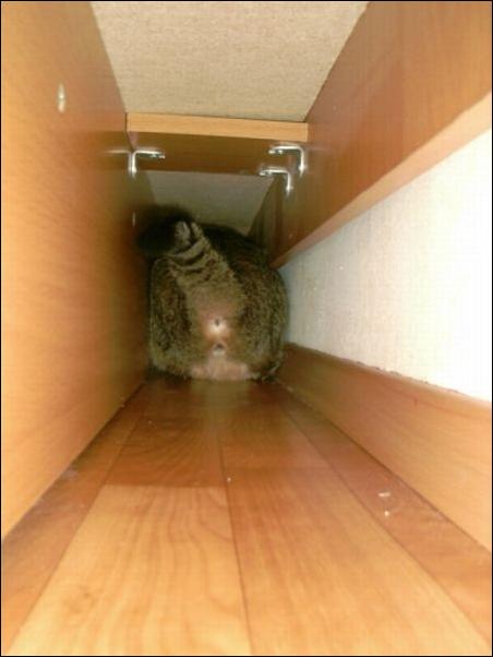 Кучка воскресных картинок