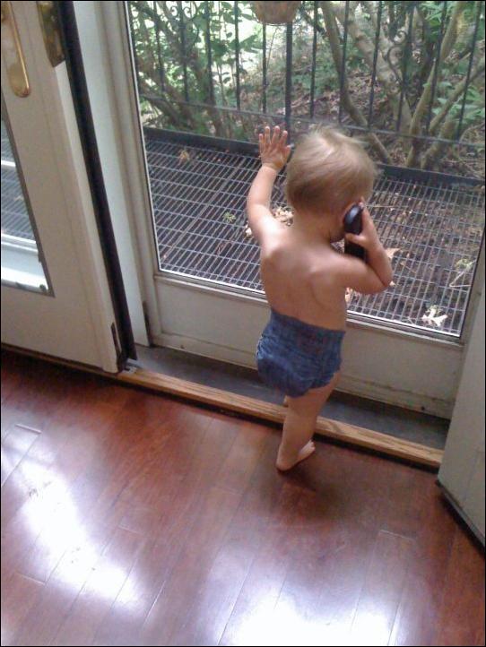 Кучка воскресных картинок