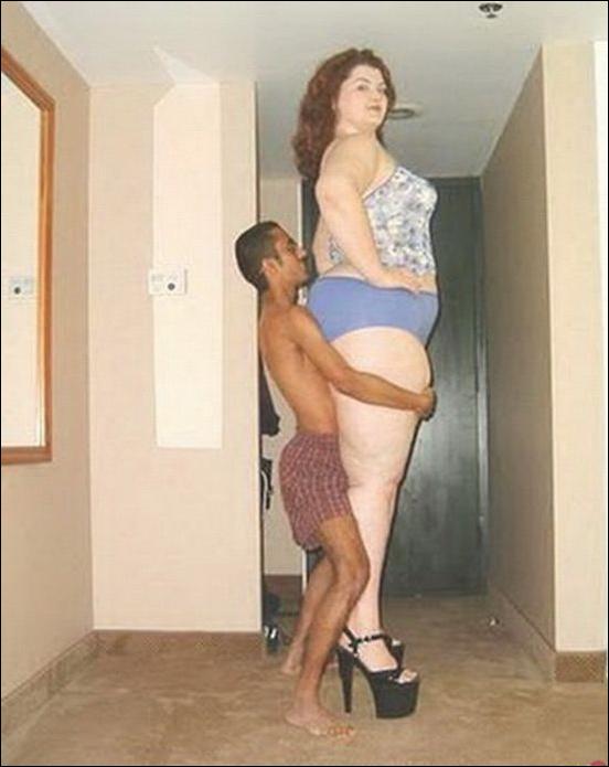 Кучка воскресных картинок