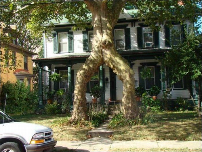 Кучка воскресных картинок