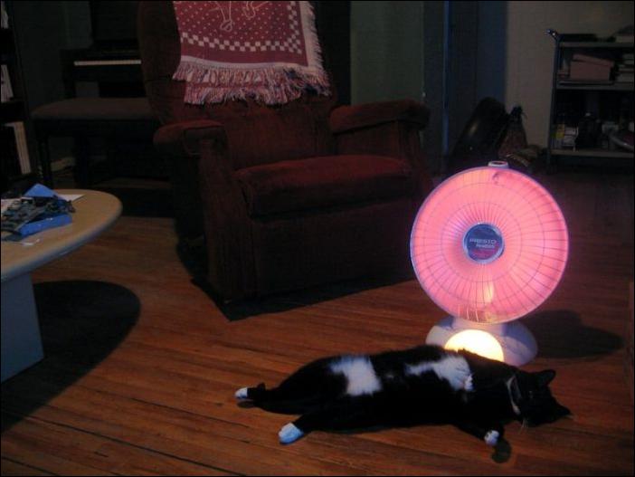 Кучка воскресных картинок