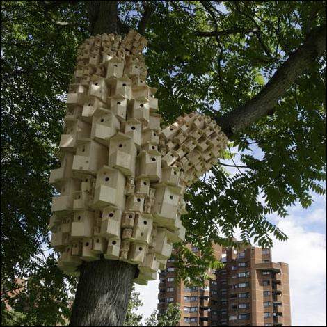 Кучка воскресных картинок