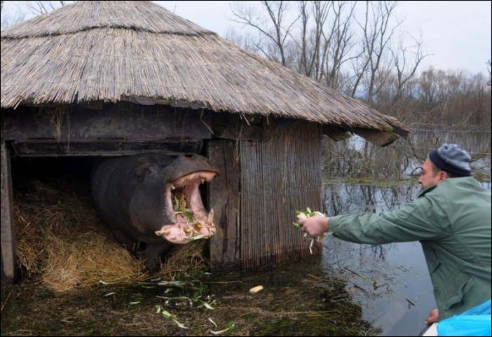 Кучка воскресных картинок