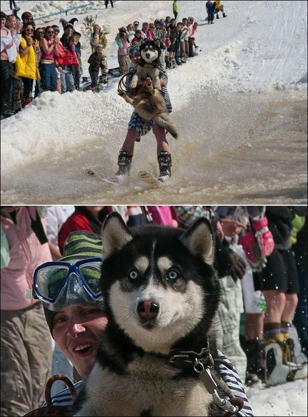 Кучка воскресных картинок