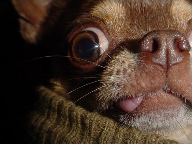 Кучка воскресных картинок