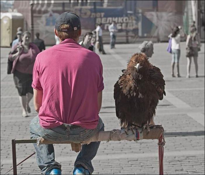 Кучка воскресных картинок