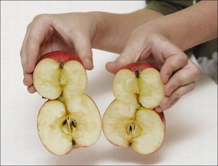 Кучка воскресных картинок