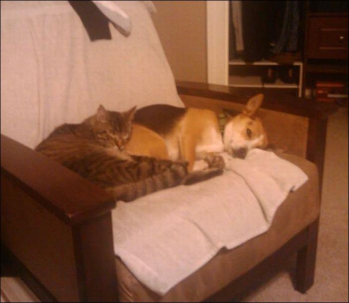 Кучка воскресных картинок