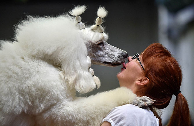 Лучшие поцелуи — 2014 Лучшие поцелуи — 2014