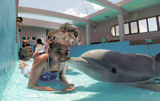 Лучшие поцелуи — 2014 Лучшие поцелуи — 2014