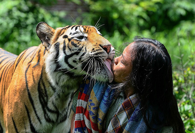 Лучшие поцелуи — 2014 Лучшие поцелуи — 2014