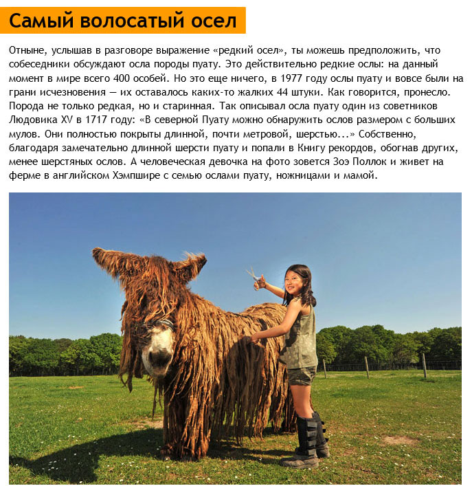 Достижения книги рекордов Гиннесса 2015