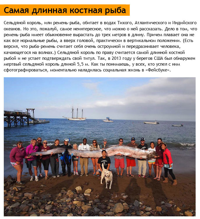 Достижения книги рекордов Гиннесса 2015