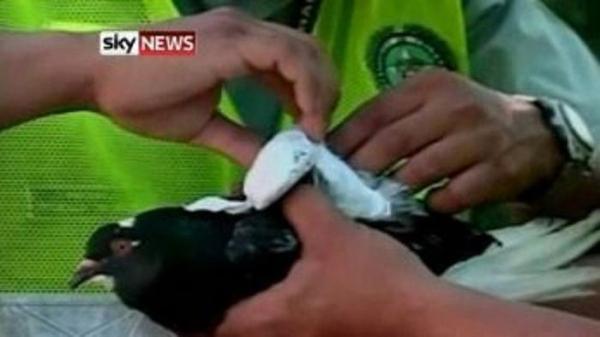 Уловки контрабандистов-наркоторговцев