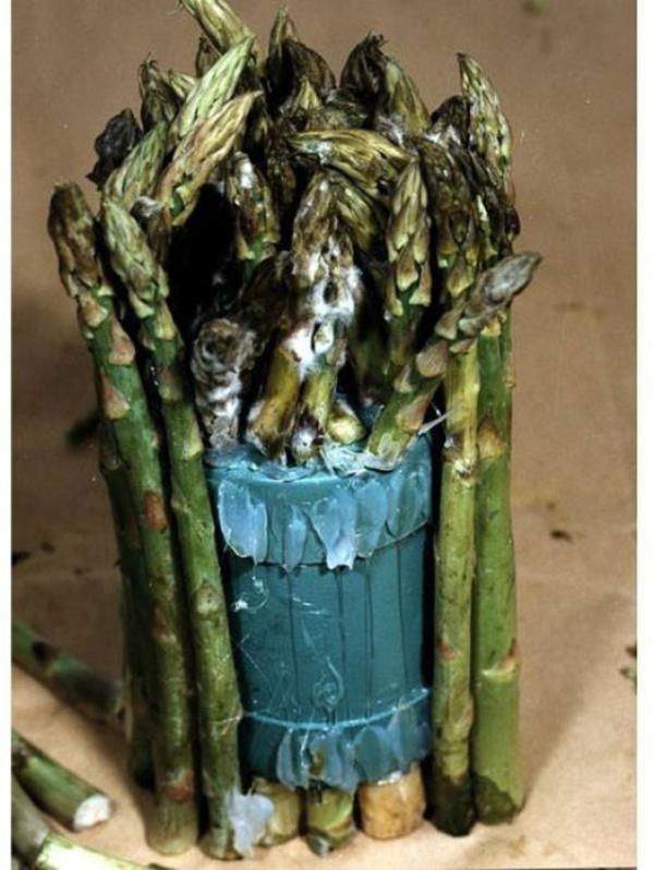 Уловки контрабандистов-наркоторговцев