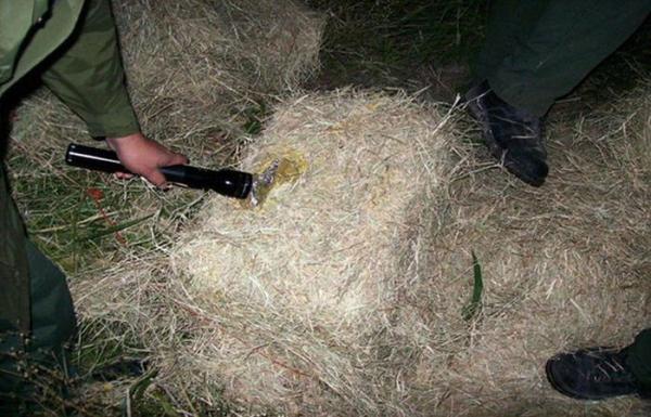 Уловки контрабандистов-наркоторговцев