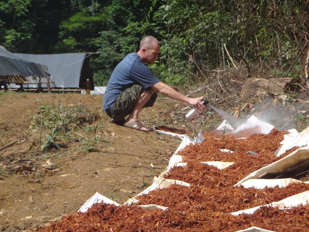 Российский геолог рассказал, как искал золото в джунглях