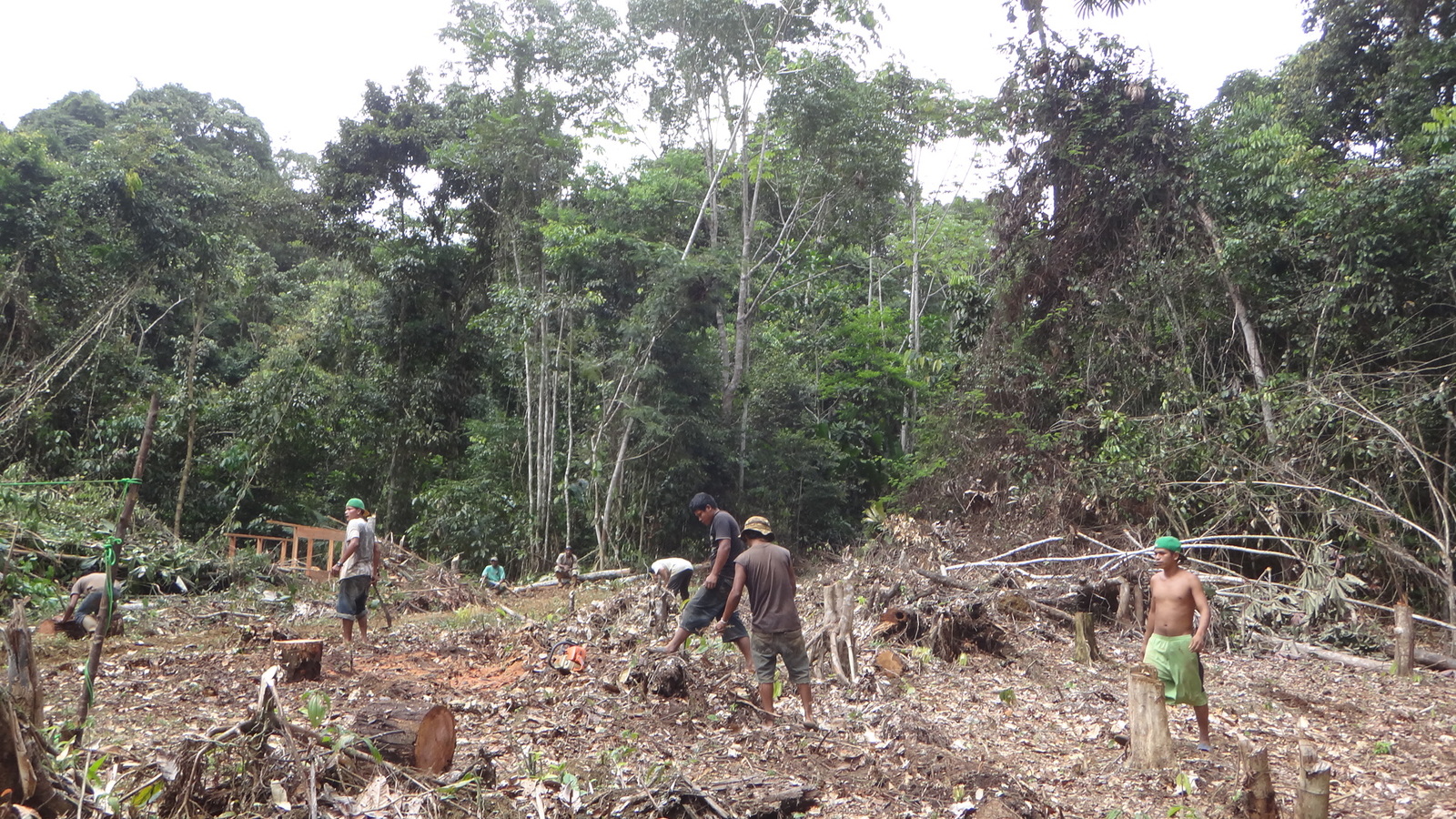Российский геолог рассказал, как искал золото в джунглях