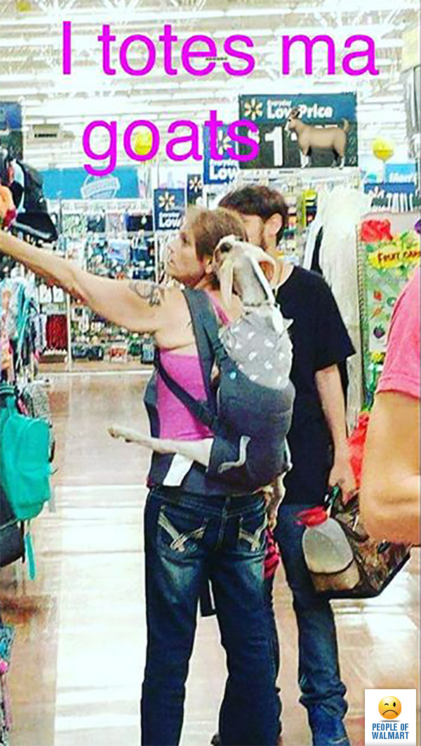 Экстравагантные покупатели Walmart