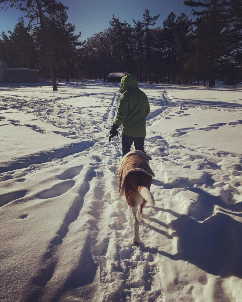 Тем временем в Канаде...