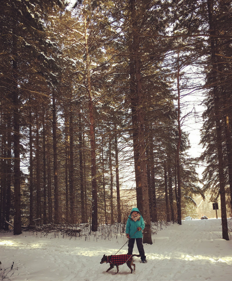 Тем временем в Канаде...