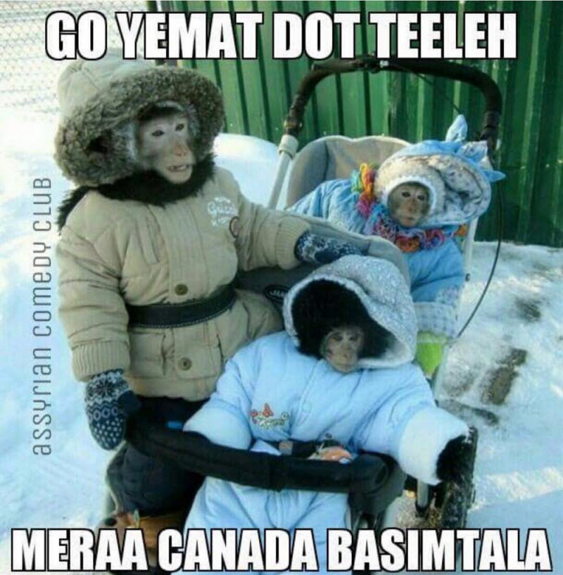 Тем временем в Канаде...