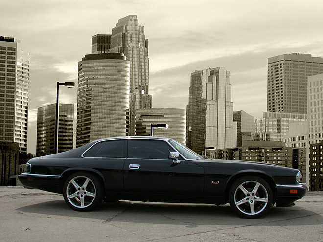 Резвые долгожители