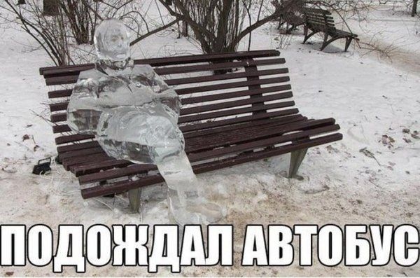 Прикольные картинки