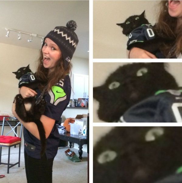 Прикольные картинки