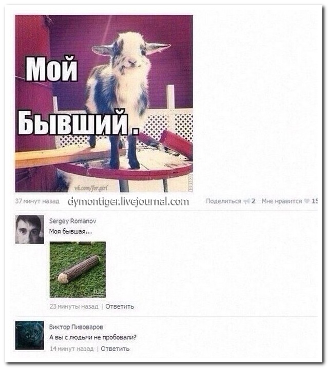 Смешные комментарии из социальных сетей