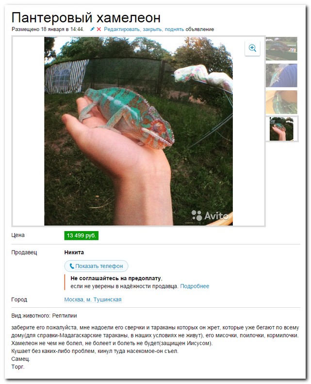 Смешные комментарии из социальных сетей