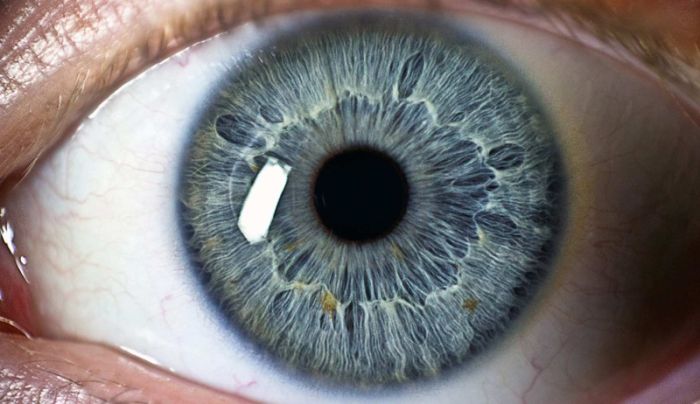 Невероятные факты, в которые не так просто поверить