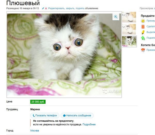 22 новых умопомрачительных объявлений с AVITO