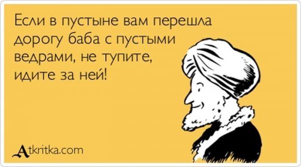 Веселые Аткрытки (40 фото)