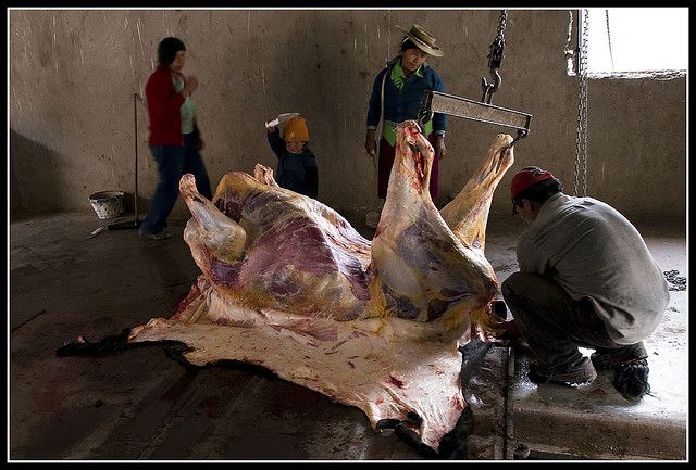 Смертельно опасные диеты (7 фото)