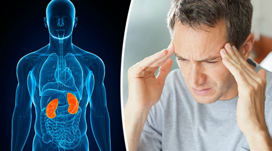 Как тело предупреждает о проблемах с почками Как тело предупреждает о проблемах с почками