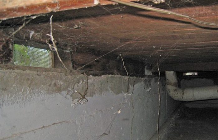 Счастливые находки из старых сейфов Счастливые находки из старых сейфов