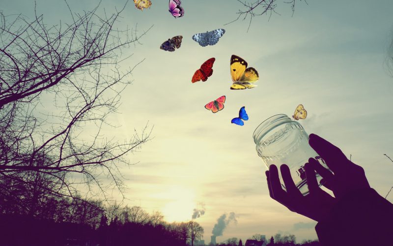 «Правила выживания», или где брать силы, чтобы пережить трудные времена? «Правила выживания», или где брать силы, чтобы пережить трудные времена?