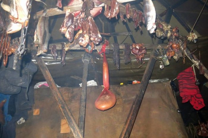 Жизнь людей в суровых условиях крайнего Севера Жизнь людей в суровых условиях крайнего Севера